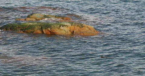 Lapping water with rocks Stock Footage 123673568