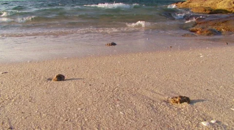 Lapping waves on beach Video stock 86343