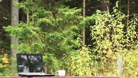 Laptop and a white cup of coffee on a bench in front of a forest pond Stock Footage 80986294