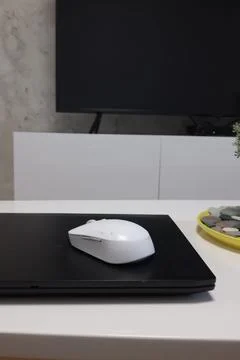 Laptop and wireless mouse on a table with a plant and decorative stones in a Stock Photos
