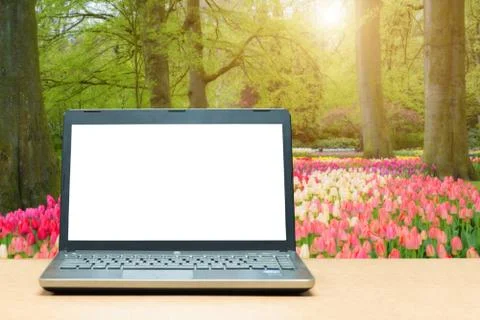Laptop with blank screen on table with blur green nature in background. Techn Stock Photos