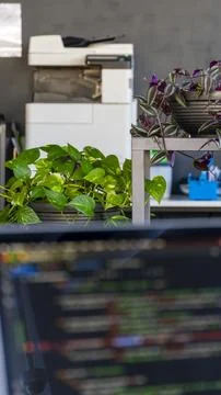 Laptop with a code, on the background of an office with a printer and flowers Stockfoto's