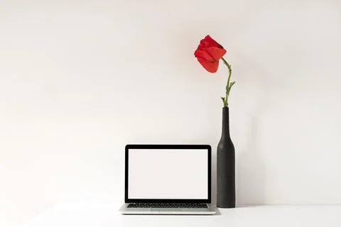 Laptop computer with blank screen on table with elegant poppy flower in bottl Stock Photos