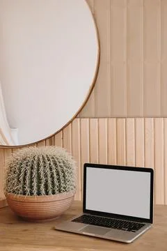 Laptop computer with copy space screen and cactus on wooden table Stock Photos