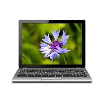 Laptop computer with cornflower on screen Stock Photos