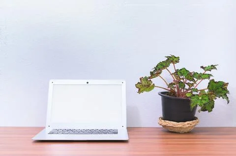 Laptop computer is at the desk Stock Photos