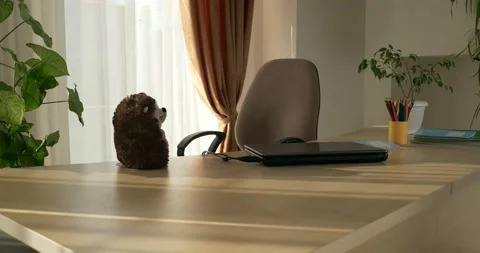 Laptop Computer on Desk Table in Empty Room near Window Sunny Interior Design 4K Stock Footage 160827707