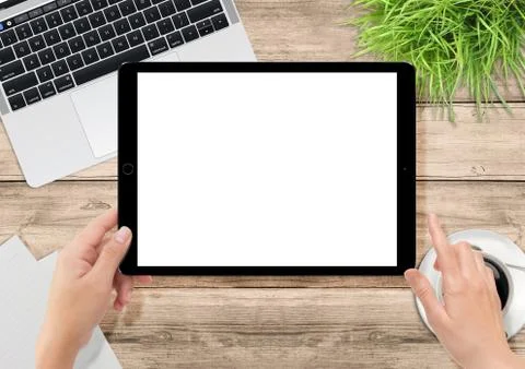 Laptop computer, green plants, coffee and hand holding big tablet Illustrazione stock