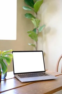 Laptop computer with white empty screen and monstera tropical palm leaves in a Foto stock