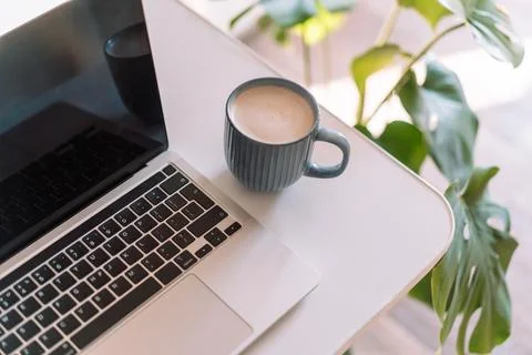 Laptop with a cup of coffee on the table next to the monstera Foto stock