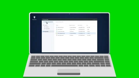 Laptop displaying image viewer and desktop on green background. 4K 스톡 동영상 341693915