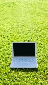 Laptop on grass Фото