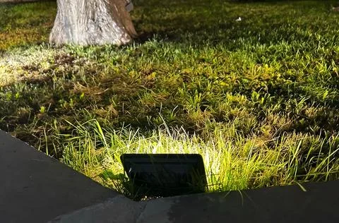 Laptop in the grass under a tree. Stock Photos