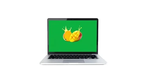 Laptop with Green Screen Isolated on White Background Stock Footage 317377202
