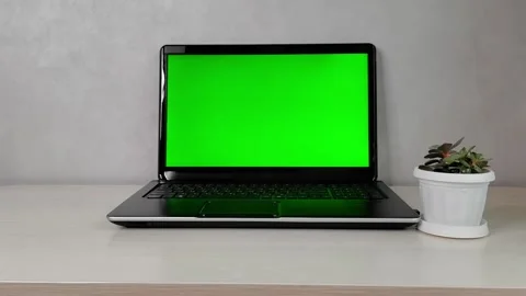 Laptop with green screen.  Study and work online. Stock Footage 155870390