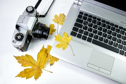 Laptop with leaf and camera Stock Photos