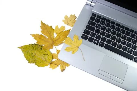 Laptop with a leaf Stock Photos