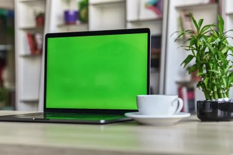 Laptop with mock-up green screen white background in office and Lovely plant  Stock Photos