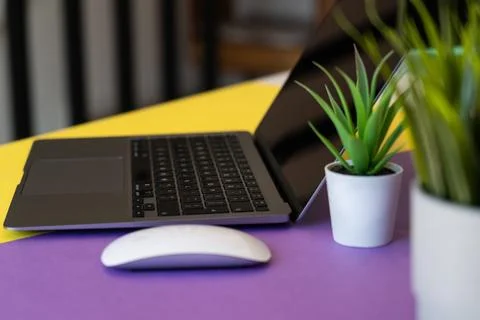 Laptop Stock Photos