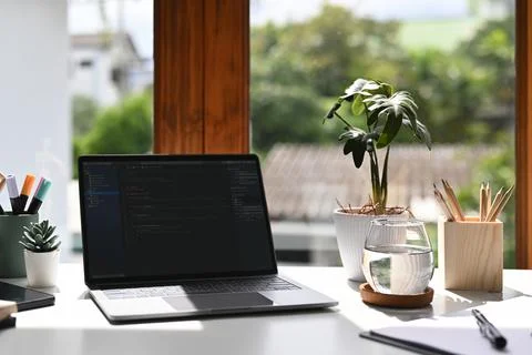 Laptop with programming code on computer screen, stationery and potted plant on Foto stock