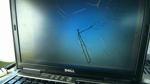Laptop Screen Using Sophisticated Computer Software the Map the Routes of Vídeos de archivo 99325749