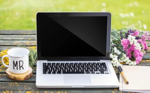 Laptop spring Stock Photos