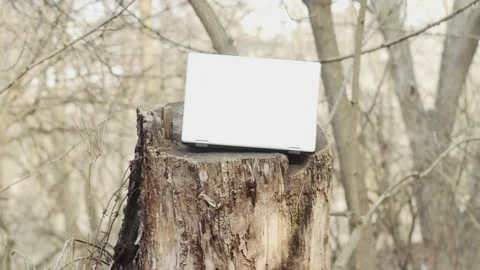 Laptop standing on a stump in the forest against the background of branches Vídeos de archivo 172362853