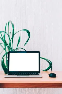 Laptop On Table Stock Photos