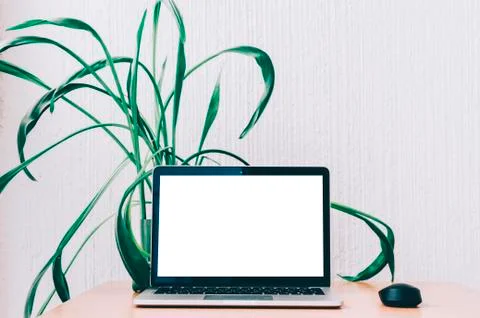 Laptop On Table Stock Photos