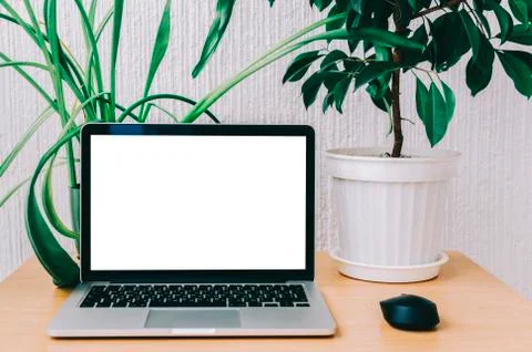 Laptop On Table Foto stock