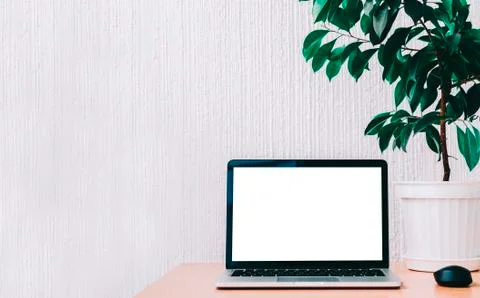 Laptop On Table Stock Photos