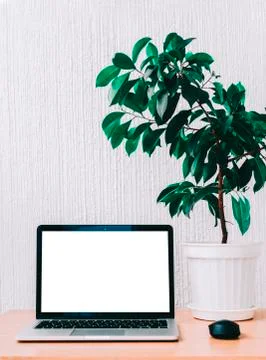 Laptop On Table Stock Photos