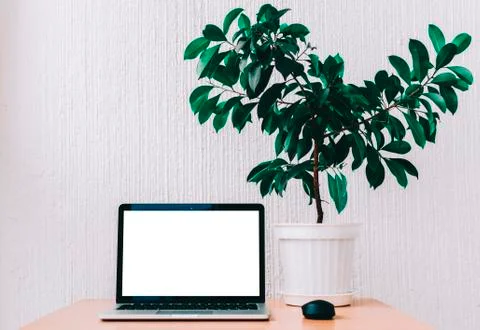 Laptop On Table Stock Photos