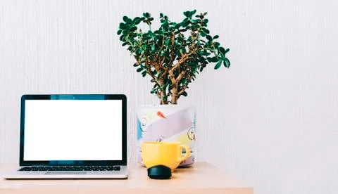 Laptop On Table Stock Photos