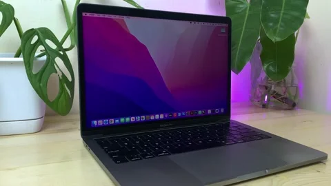 Laptop on table with tree moving behind Stock Footage 211104578