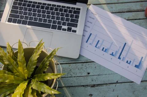 Laptops, graphs and trees Stock Photos