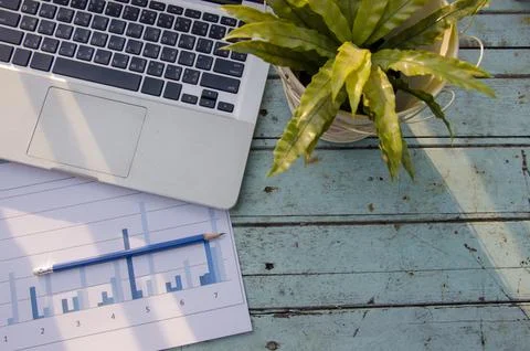 Laptops, graphs and trees Stock Photos