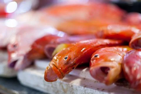 Lapu-lapu, red snapper and tuna, seafood on market 스톡 사진