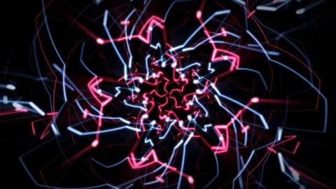 Lapura Looping Animation Stock Footage 73577837