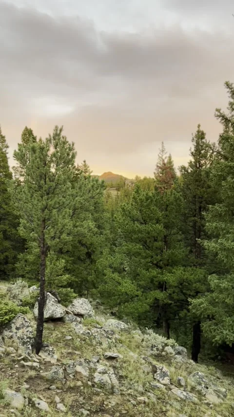 Laramie Peak Sunset-Vertical  Stock-Footage 219818960