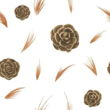 Larch cone seamles pattern Stock Illustration
