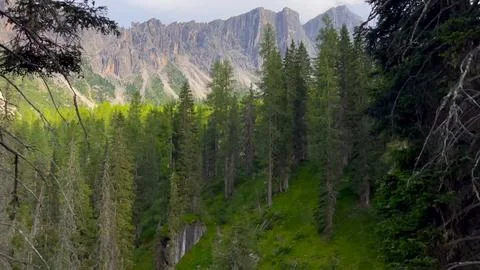 Larch Forest Below Sharp Mountain Peaks Stock Photos