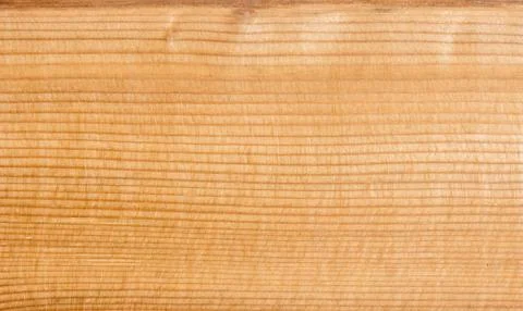 Larch knot increased Stock Photos