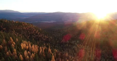 Larch Mountain drone 3 動画素材 172669534
