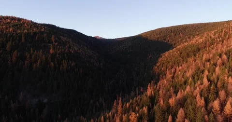 Larch Mountain drone 4 動画素材 172669961