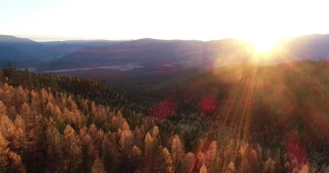 Larch Mountain drone 5 動画素材 172670460