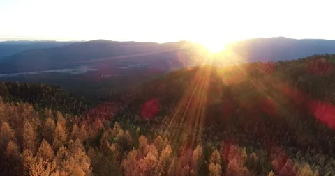 Larch Mountain drone 7 動画素材 172670841