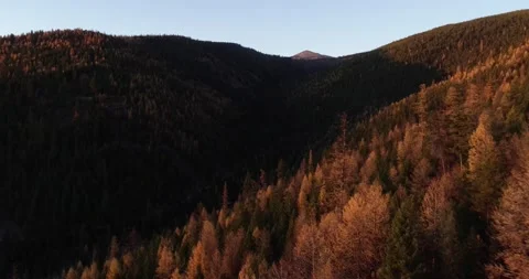 Larch Mountain drone 8 Stock Footage 172671556