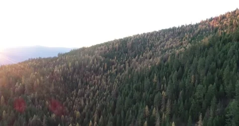 Larch Mountain drone 9 動画素材 172672377