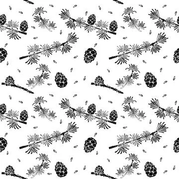Larch pattern. Larix decidua branch, cone. Hand drawn botanical illustration. Stock Illustration